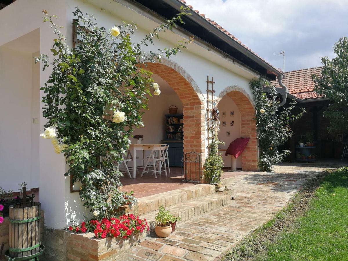 Bona Terra Appartement Horni Vestonice
