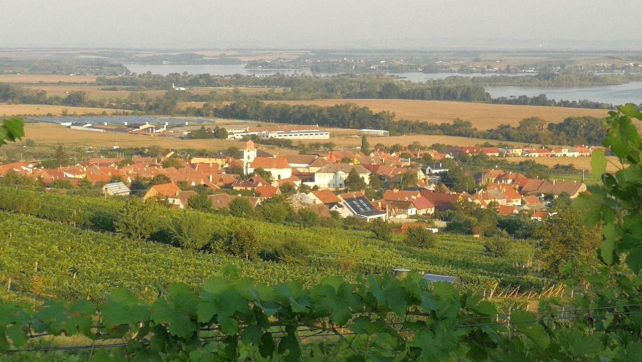 Bona Terra Horni Vestonice