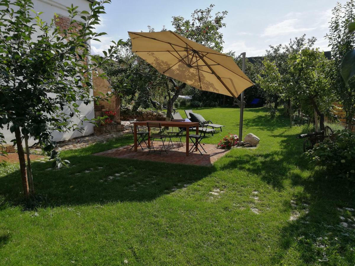 Apartment Bona Terra Horni Vestonice