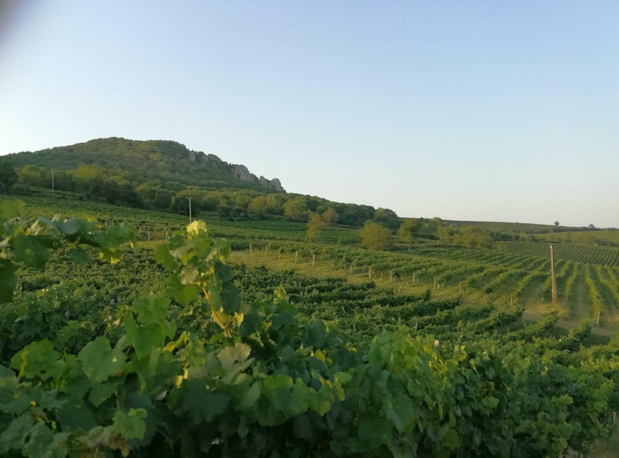 Bona Terra * Horni Vestonice
